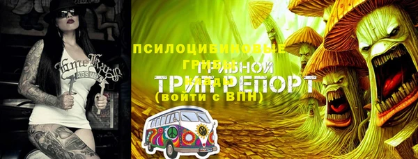 винт Бердск