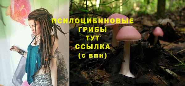 прущие крисы Артём