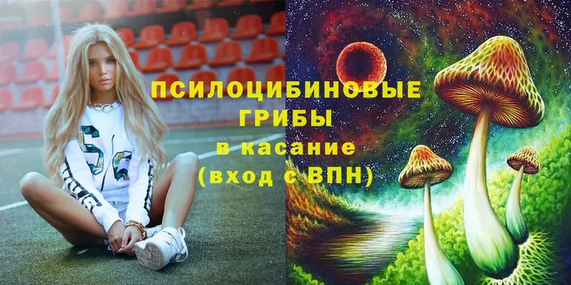 Псилоцибиновые грибы прущие грибы  как найти наркотики  Звенигород 