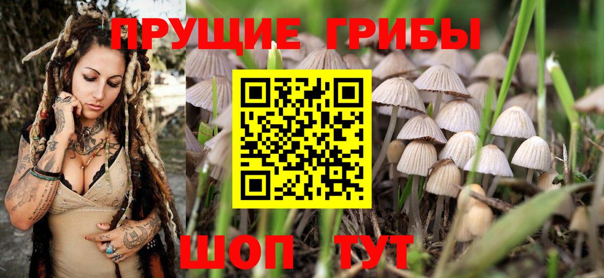 Псилоцибиновые грибы Psilocybine cubensis  закладка  Вход с VPN  Звенигород  Псилоцибиновые грибы Magic Shrooms 